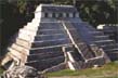 Jungle Kingdoms of the Maya file